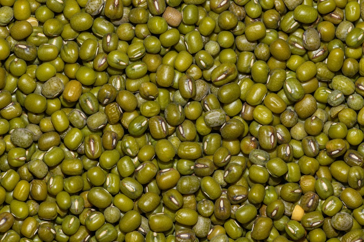 Moong Seeds
